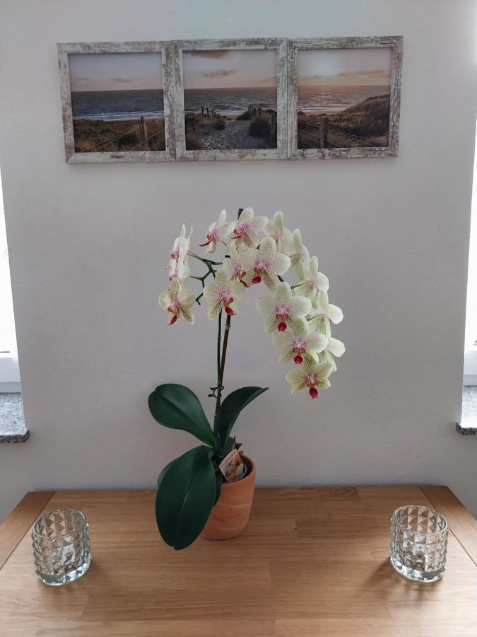 Ferienhaus Buschmuehle - Stolpen Eksteriør bilde